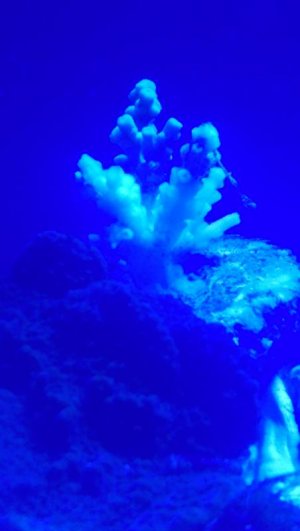 uploadfromtaptalk1428041811553.jpg uploadfromtaptalk1428041811553.jpg