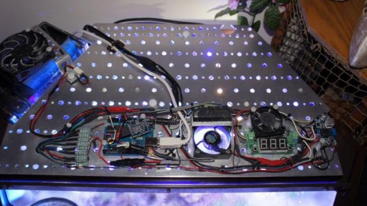 DSC02428 [1600x1200].jpg