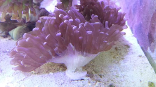 20150403_140232.jpg