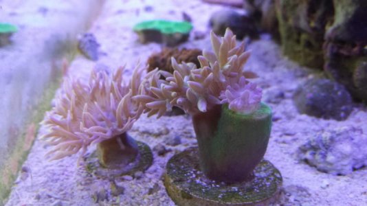 20150403_140316.jpg