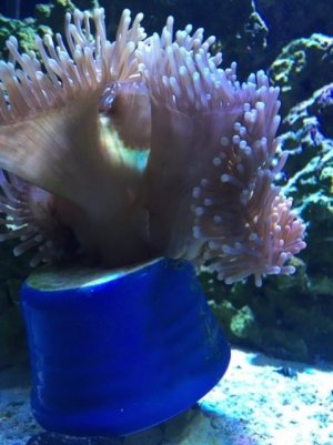 IMG_2935.jpg