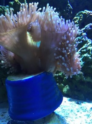 IMG_2936.jpg