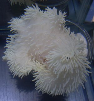 20150403-1533 (2).jpg