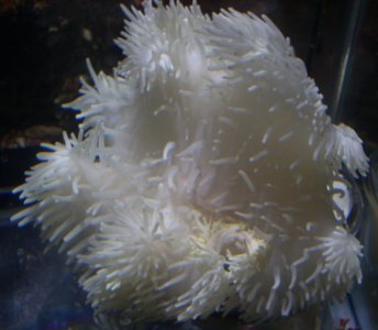 20150403-1947 (2).jpg