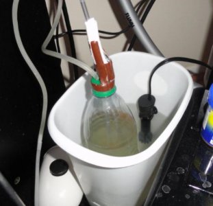 feeder system in water bath.jpg