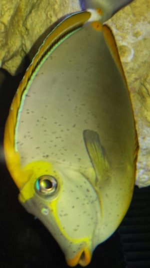 2015-04-05 13.05.15.jpg