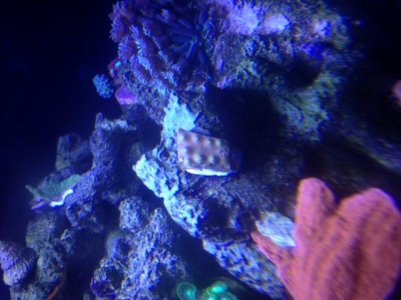 photo(1).jpg