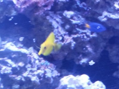 20150314_143850.jpg
