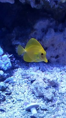 20140710_193421.jpg