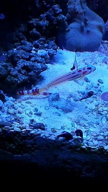 20140710_193505.jpg