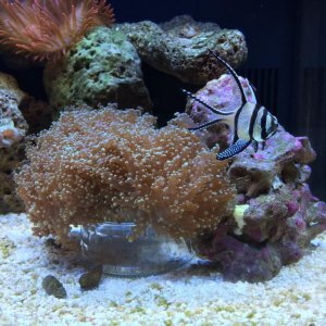 IMG_0039.jpg