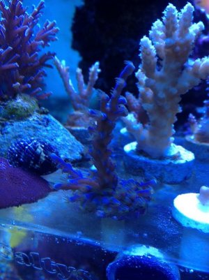 IMG_2234.jpg