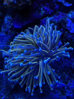 ImageUploadedByTapatalk1428561156.722040.jpg