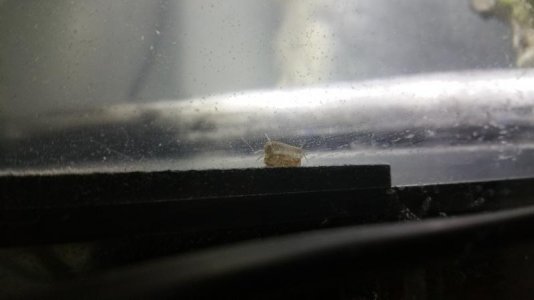 20150409_161244.jpg