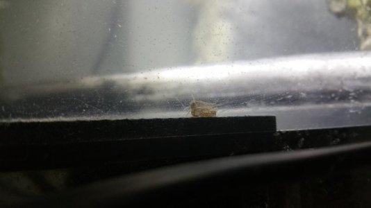 20150409_161241.jpg