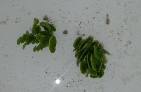 20150409_184600-1.jpg