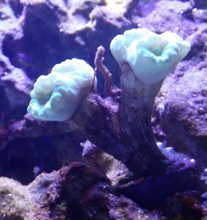 20150409_192842.jpg