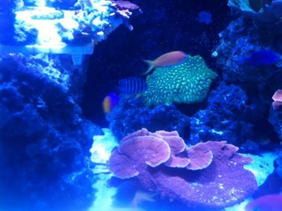 photo 2 (2).jpg