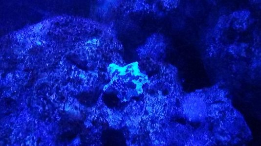 20150408_201238.jpg