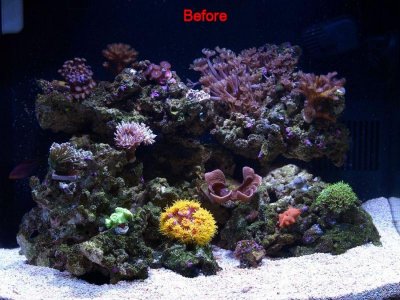 Before.jpg