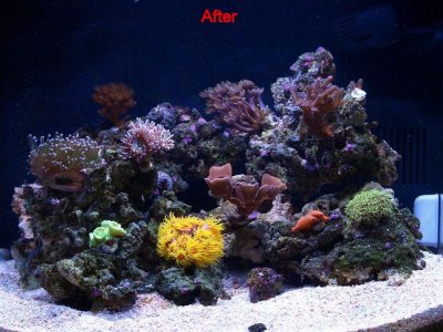 After.jpg