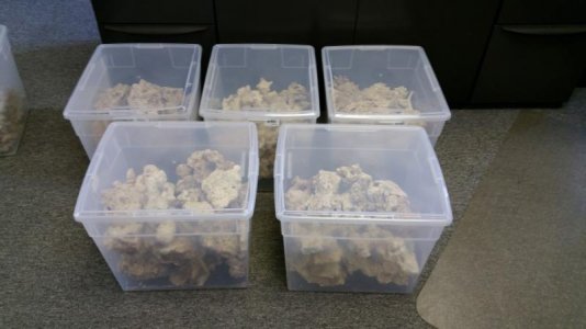 20150411_101435 (Small).jpg