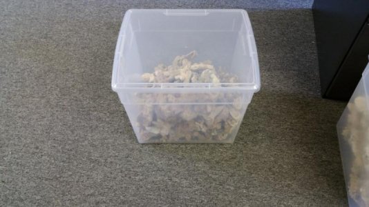 20150411_101440 (Small).jpg