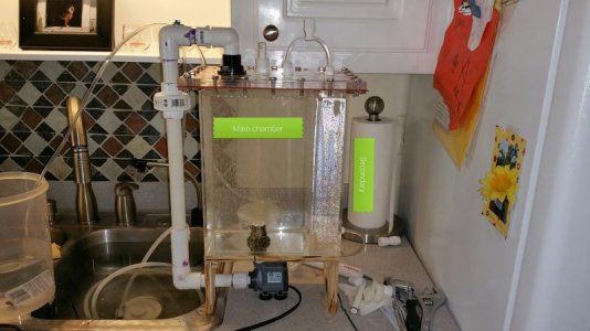 2015-03-19 12.51.23.jpg