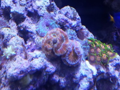 20150314_143652.jpg