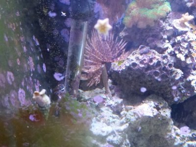 20150314_143828.jpg