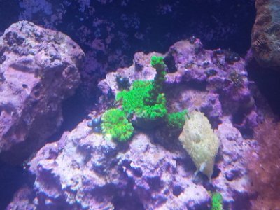 20150314_143639.jpg