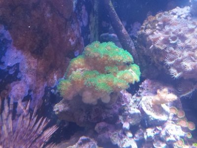 20150314_143743.jpg