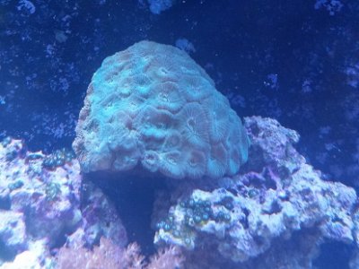 20150314_143647.jpg