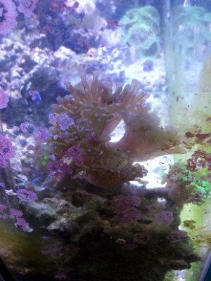 20150314_143820.jpg