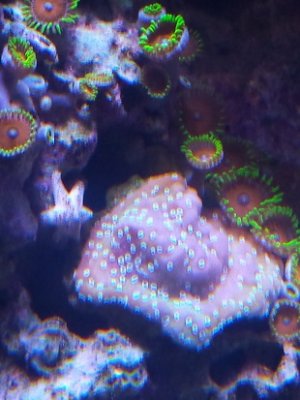 20150314_144028.jpg