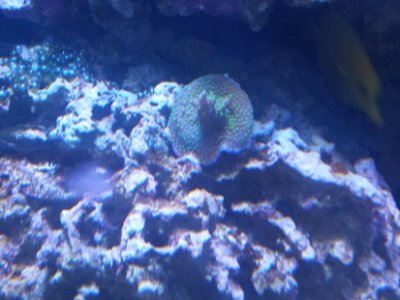 20150314_143635.jpg