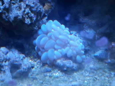 20150314_143630.jpg
