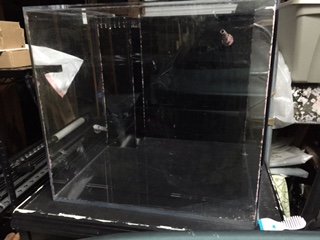 IMG_4115.JPG