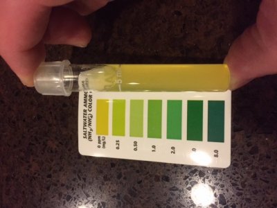 Ammonia.jpg
