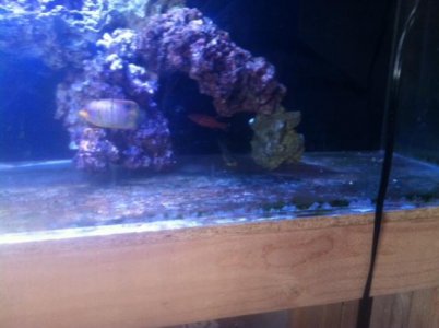photo 3 (2).jpg