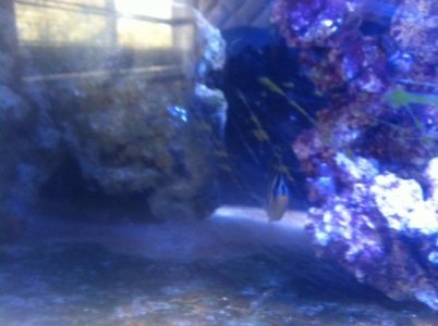 photo 4 (2).jpg