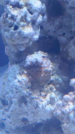 20150413_110729 (450x800).jpg