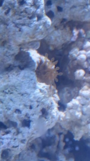 20150413_110900 (450x800).jpg