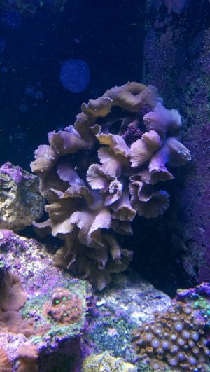 uploadfromtaptalk1426971770566.jpg uploadfromtaptalk1426971770566.jpg