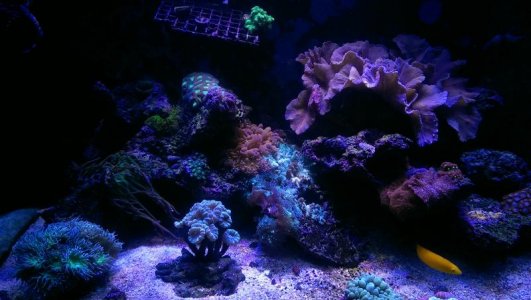 uploadfromtaptalk1426971804948.jpg uploadfromtaptalk1426971804948.jpg