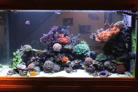 230G Front View 150414.jpg