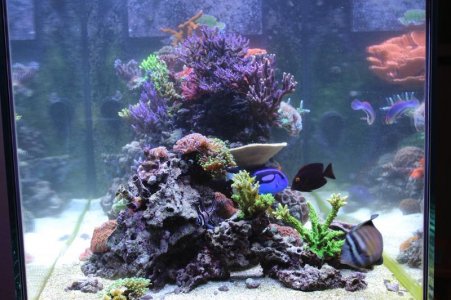 230G Side View 150414.jpg