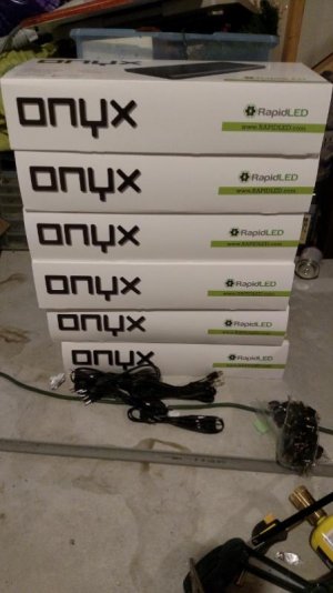 Lights have arrived (450x800).jpg