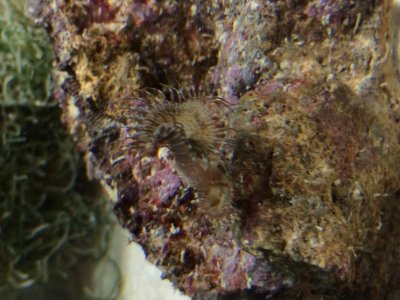 IMG_4474.jpg