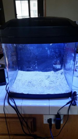 nano tank1.jpg